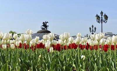 ولی هتل مخوایا مسکو