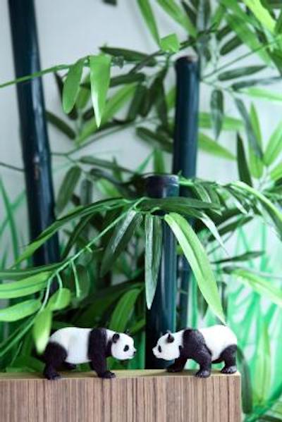 کلور د آرتس