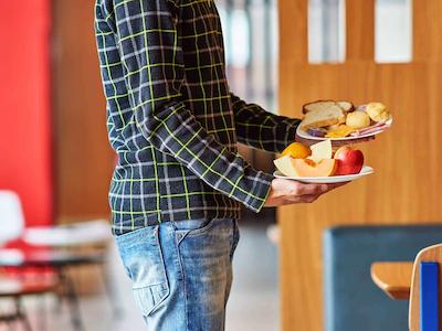 ایبیز گواراتینگوتا