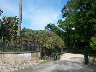 هتل والورد لیسبا