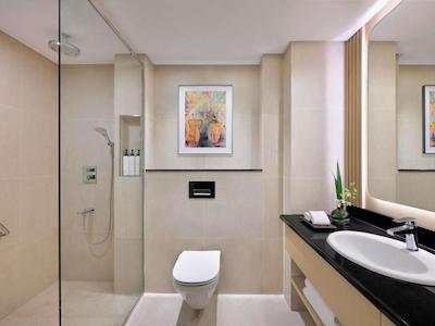 سوئيسوتل المروج داون تاون دبي