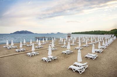 توی سنساتری ریزرت باروت فدیی