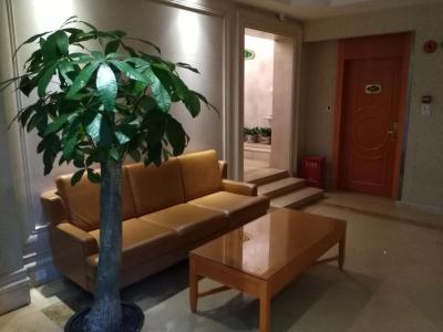 وینا آی رنگ