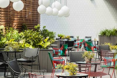 پورو پزنان استار میاستو