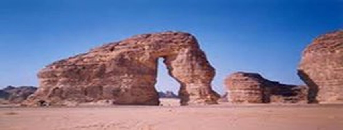 تولیپ این تابوک