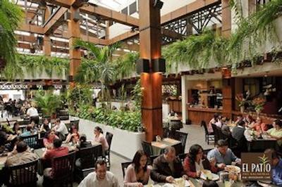 هتل بالمرال