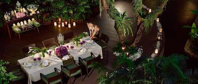 دوسیت تانی بانکوک