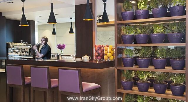 داماک میسون کانال ویوز
