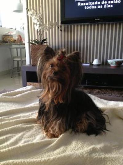 هتل استینهاوسن