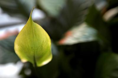 ک پپ هتل اسئوول استیشن