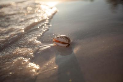 اوتریگر کنوتا مالدیو ریزورت