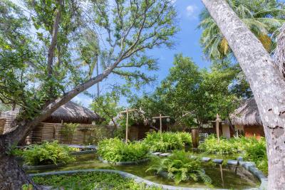 مالاهینی کودا باندوس ریزورت