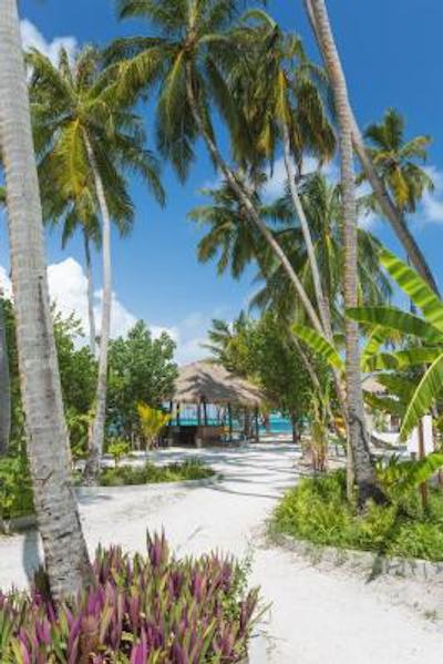 مالاهینی کودا باندوس ریزورت