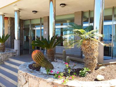 هلید کلوب ویستا امادرز