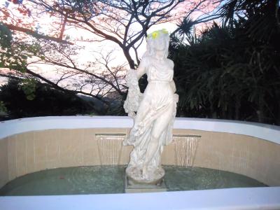 د ویو بوتیک هتل