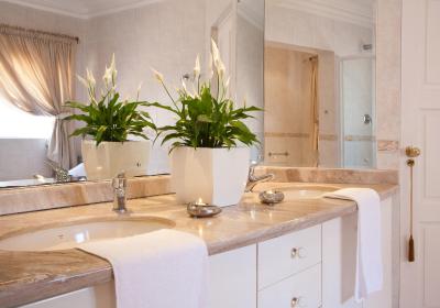 د ویو بوتیک هتل