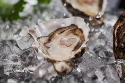 بیفویی هتل بیجینگ