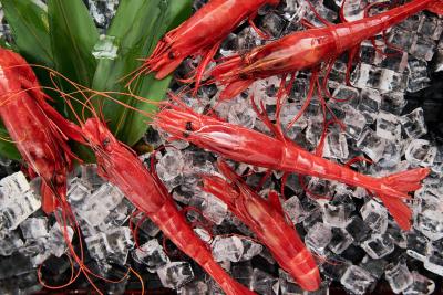 بیفویی هتل بیجینگ