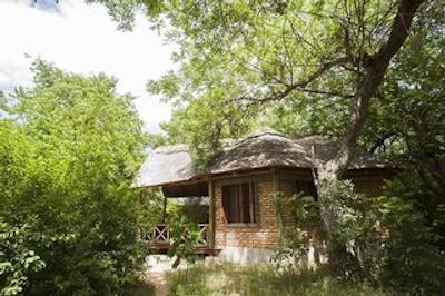 سلوز کینگا لج