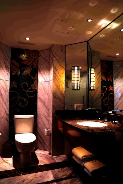 لیا بیجینگ هتل