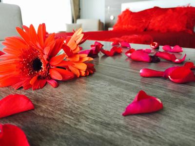 سناسیتی هتل