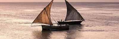 پارک هیات زانزیبار