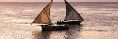پارک هیات زانزیبار