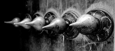 پارک هیات زانزیبار