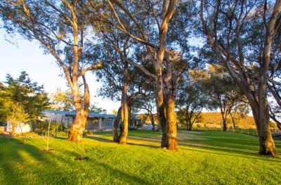 بسهندال فارم