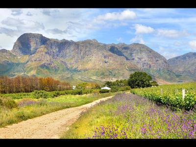 بسهندال فارم