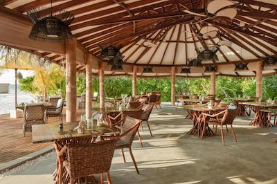 دریفت دلو ولیگا ریتریت