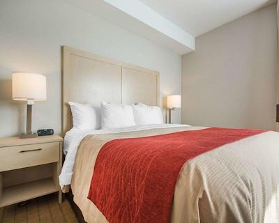 کمفرت این اند سویتز کمپبل ریور