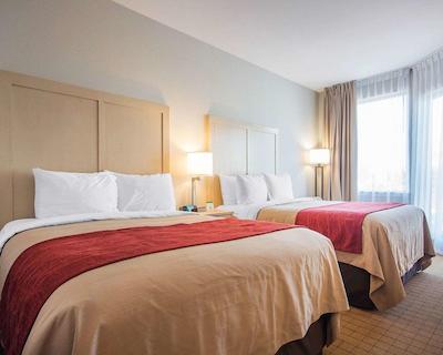 کمفرت این اند سویتز کمپبل ریور