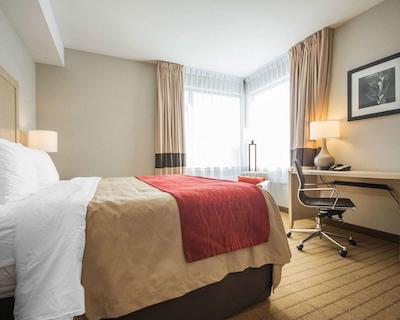 کمفرت این اند سویتز کمپبل ریور