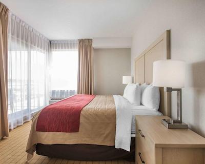 کمفرت این اند سویتز کمپبل ریور