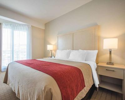 کمفرت این اند سویتز کمپبل ریور