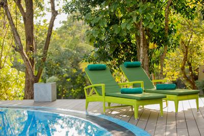 اما سیناتور