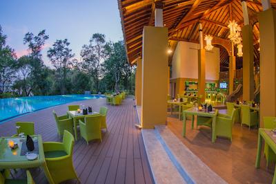 اما سیناتور