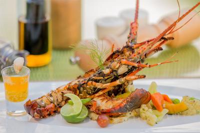 اما سیناتور