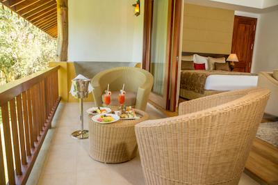 اما سیناتور