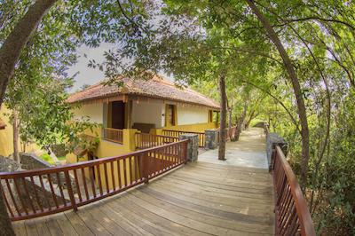 اما سیناتور