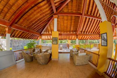 اما سیناتور