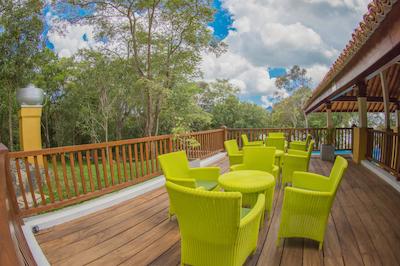 اما سیناتور