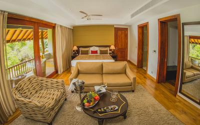 اما سیناتور