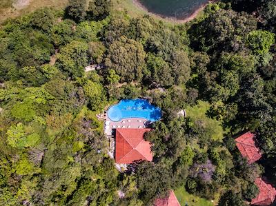 اما سیناتور