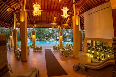 اما سیناتور