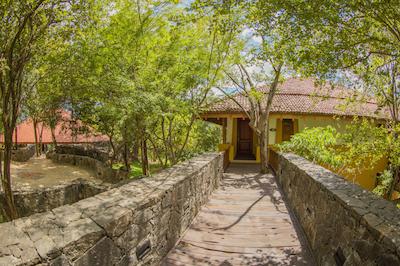 اما سیناتور