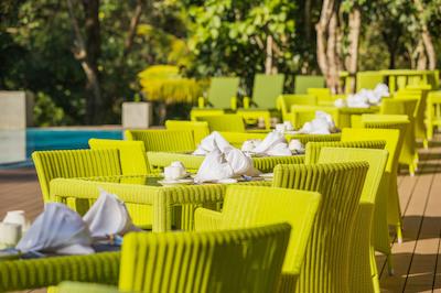 اما سیناتور