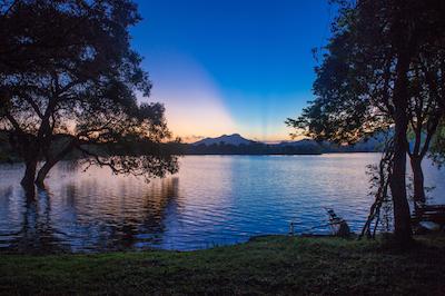 اما سیناتور