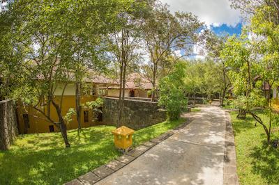 اما سیناتور